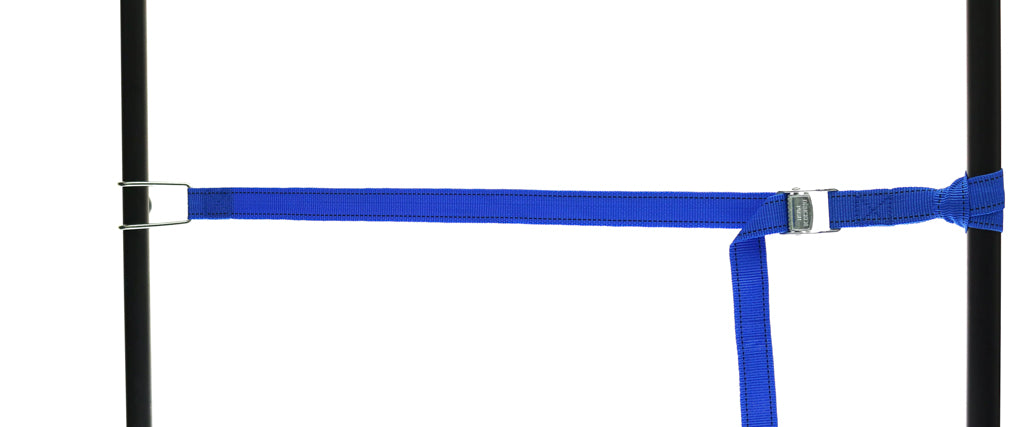 459945: PP strap with wire hook and buckle