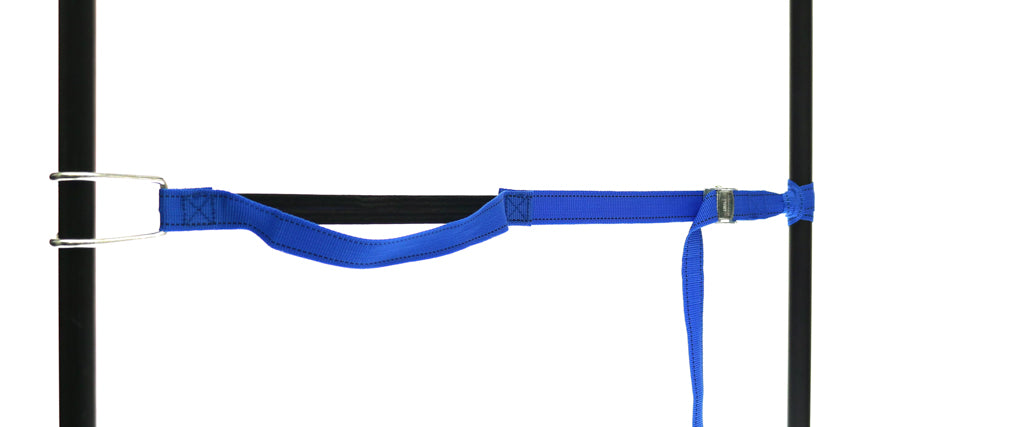 459965: PP strap with elastic piece, buckle and robust hook