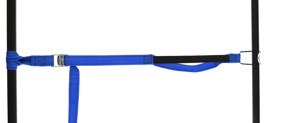 459965: PP strap with elastic piece, buckle and robust hook