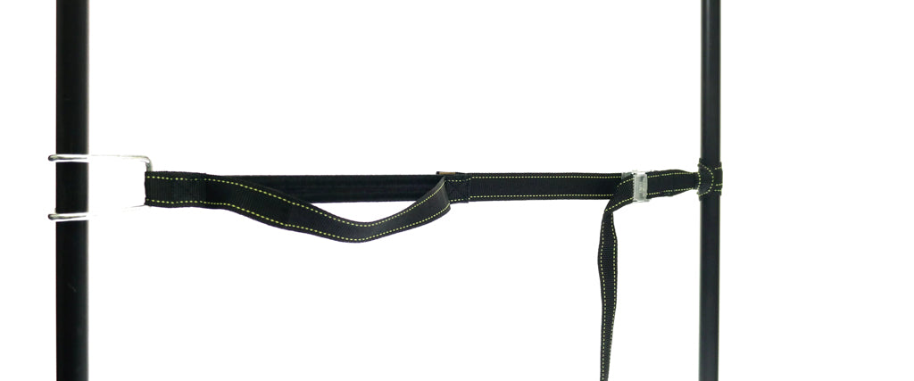 459966: PP strap with elastic piece, buckle and robust hook