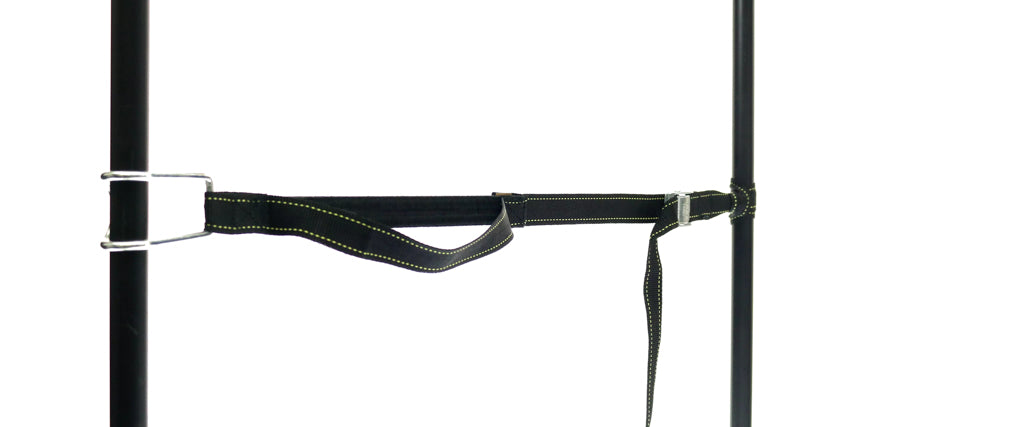 459966: PP strap with elastic piece, buckle and robust hook