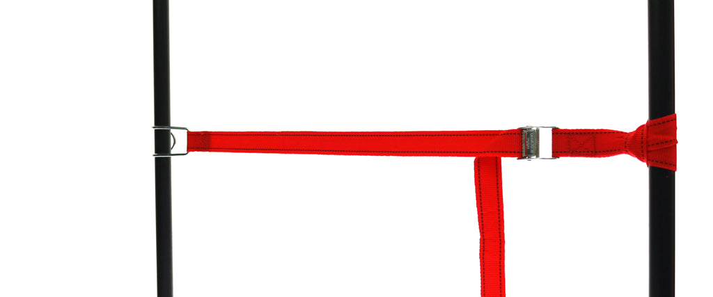 One wire hook and one buckle - red PP tension strap